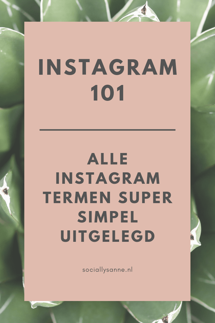 Deze Instagram termen moet je kennen, super simpel uitgelegd, dus voor jou zijn het geen moeilijke woorden meer // sociallysanne.nl // #sociallysanne #instagram #instagramtermen #instagramglossary vraag het gratis Instagram E-book aan - skyscraper breed