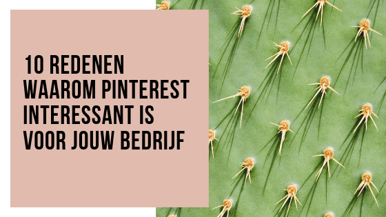 10 redenen waarom Pinterest interessant is voor jouw bedrijf