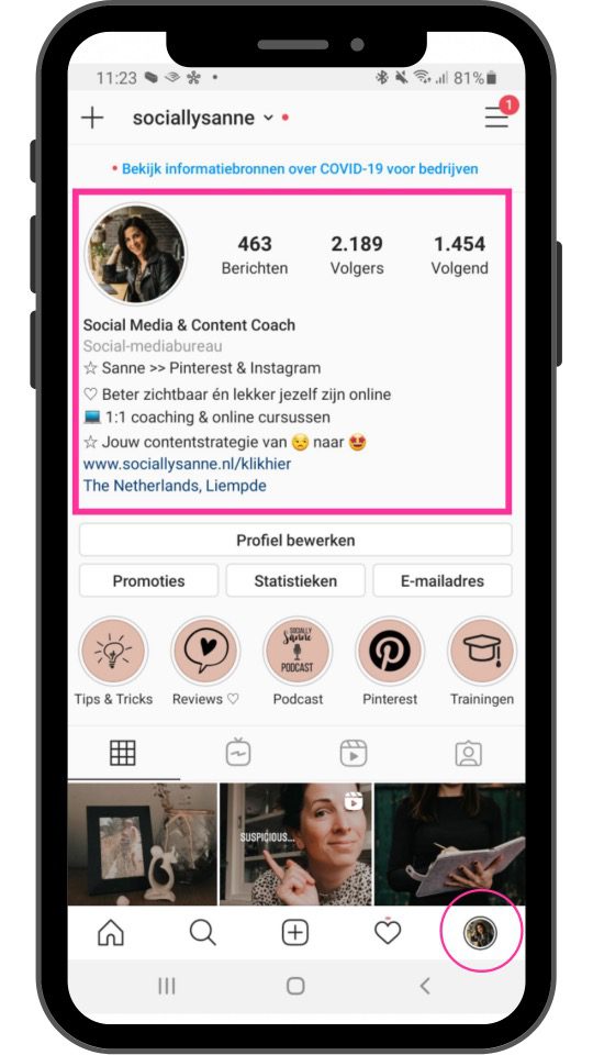 voorbeeld onderdelen instagram biografie - alle instagram termen uitgelegd