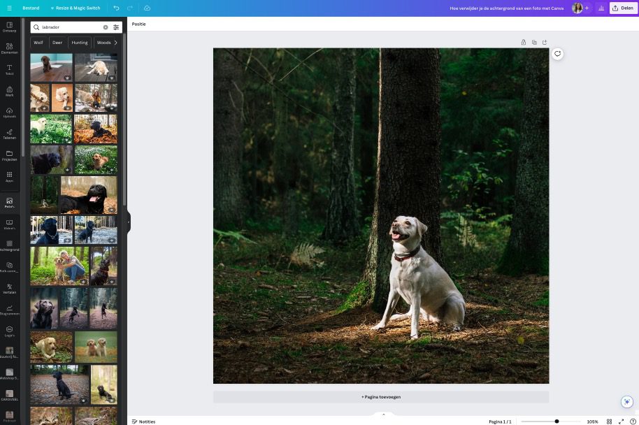Canva achtergrond foto verwijderen