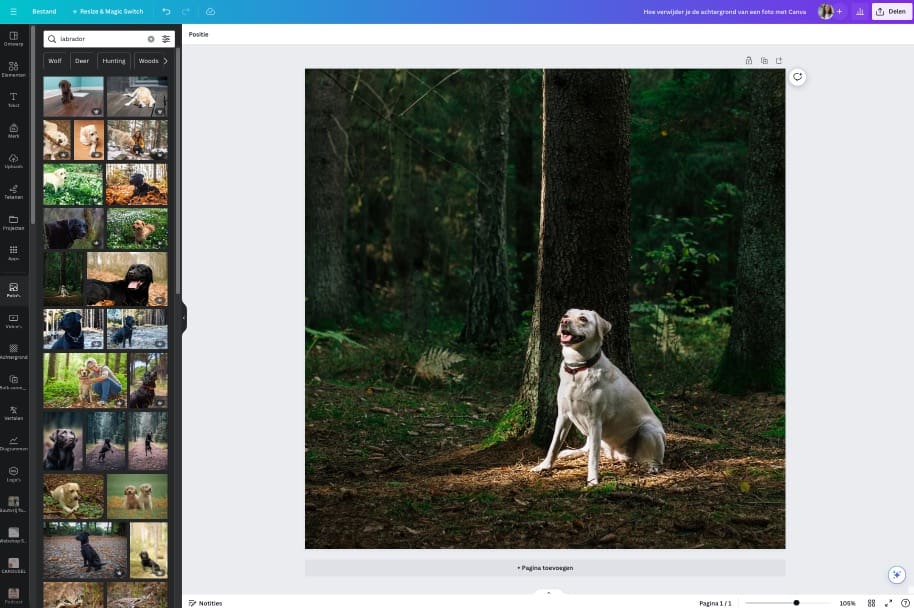 Canva achtergrond foto verwijderen
