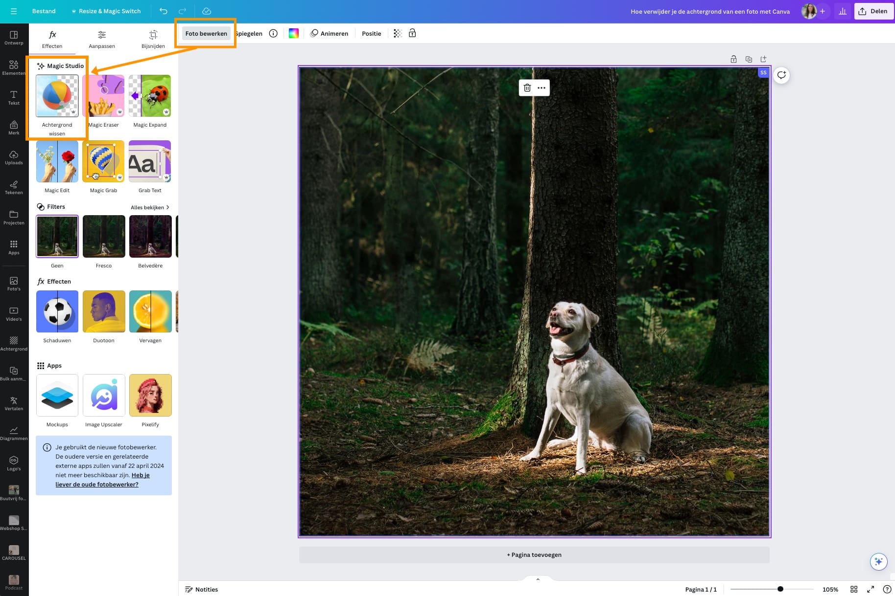 Canva achtergrond foto verwijderen