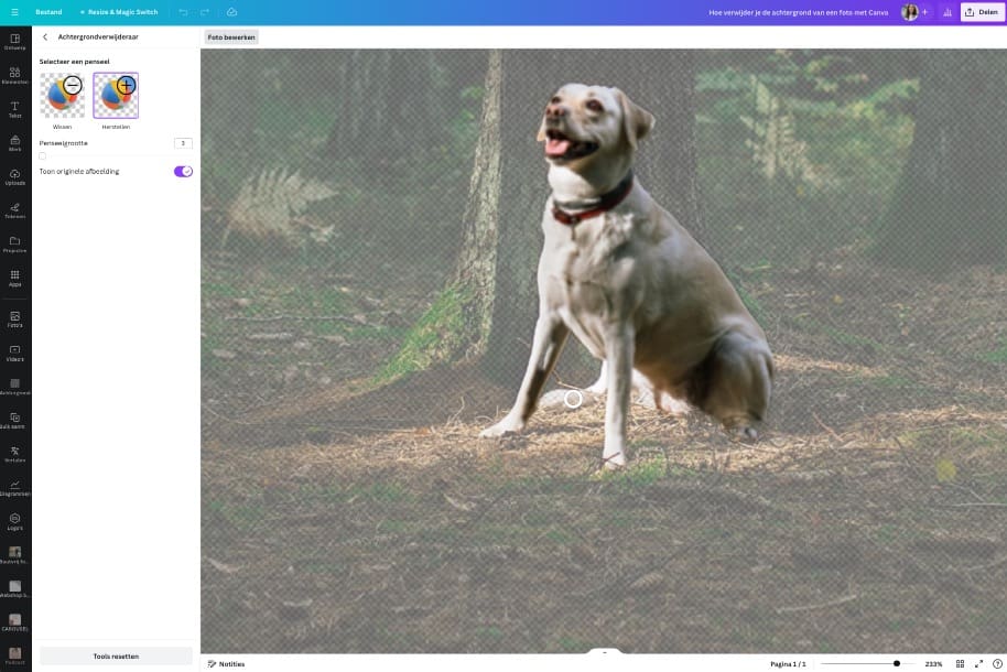 Canva achtergrond foto verwijderen