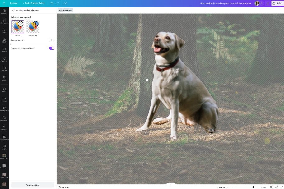 Canva achtergrond foto verwijderen